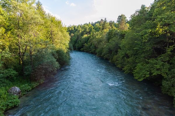 Flusslandschaft bei Bern